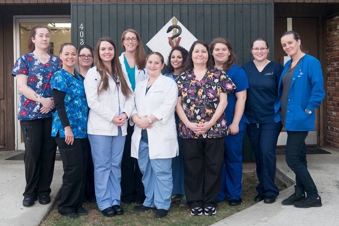 Our Team at River City Veterinary Hospital in Jacksonville, FL